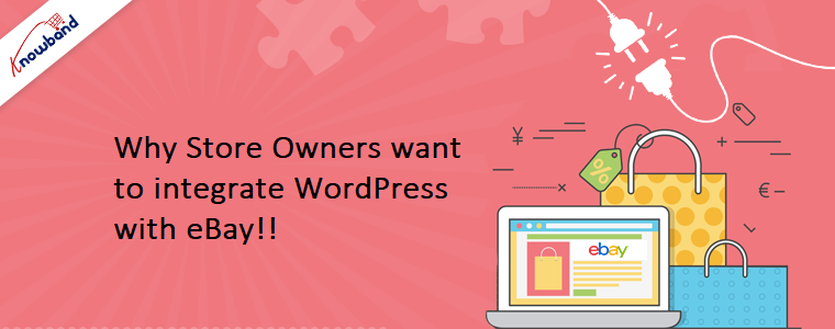 Why Store Owners want to integrate WordPress with eBay!!